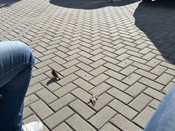 146-30-12-2025 IMG_3330